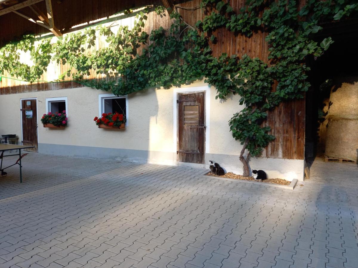 Landhof Ella - Ferienhaus Vor Den Toren Salzburgs Petting Exterior photo