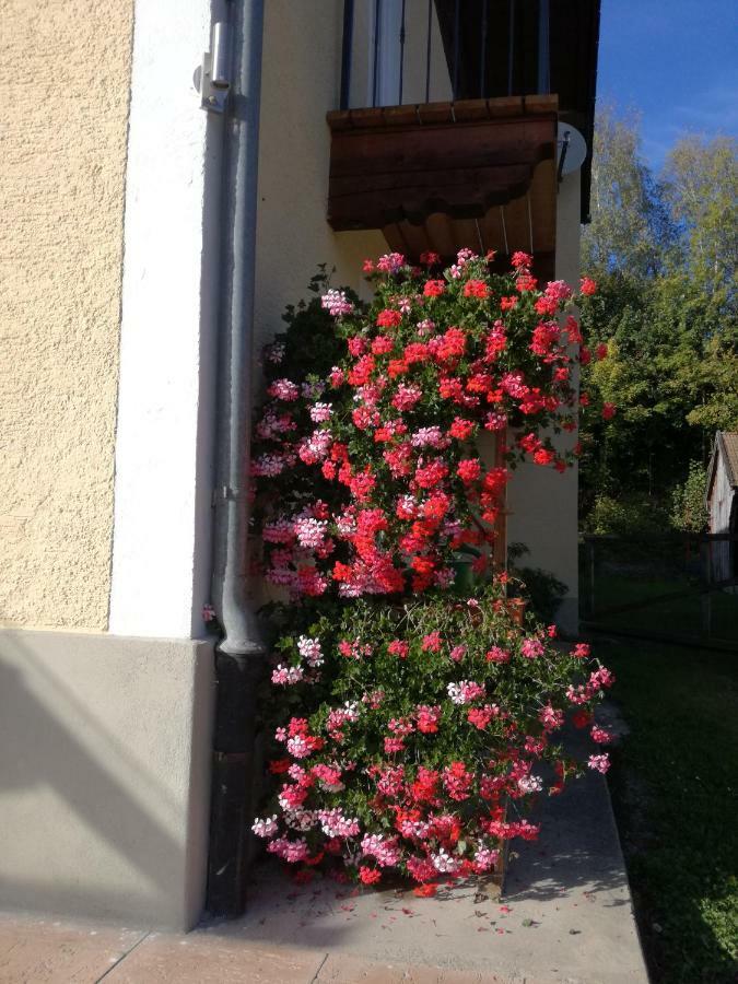Landhof Ella - Ferienhaus Vor Den Toren Salzburgs Petting Exterior photo